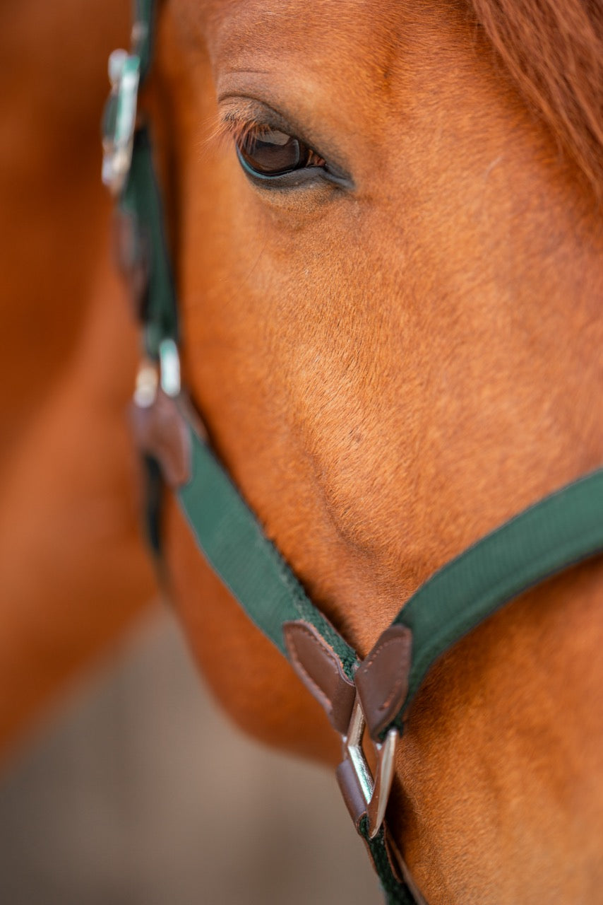 CheFauve Luxe Halster met touw