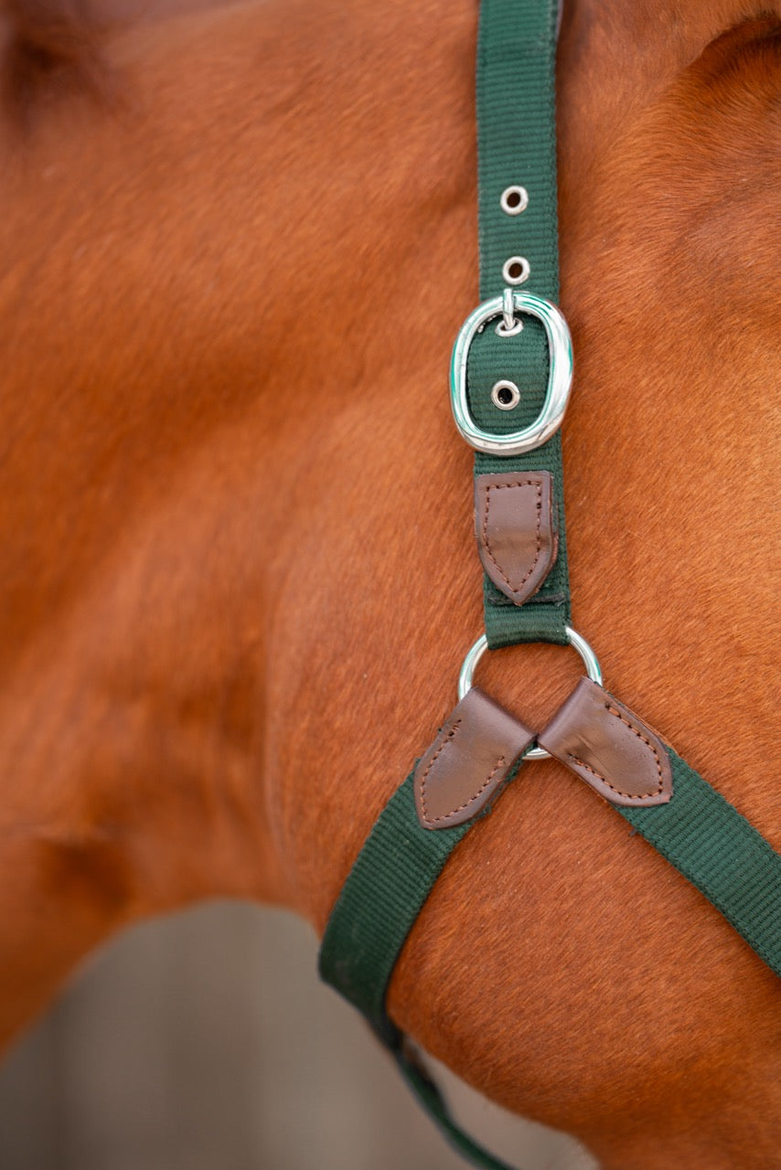 CheFauve Luxe Halster met touw