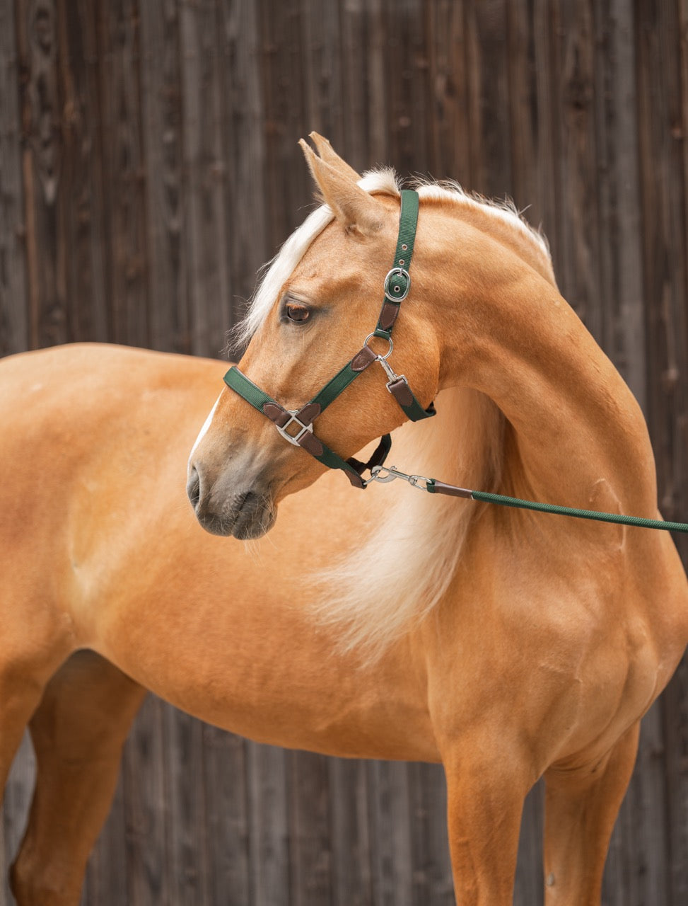CheFauve Luxe Halster met touw