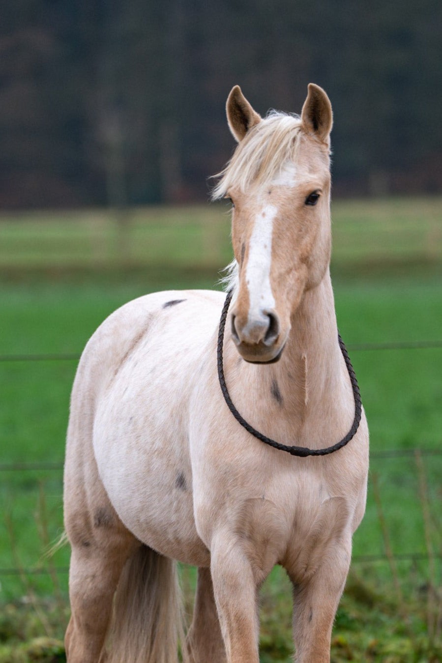 Gevlochten neckrope CheFauve