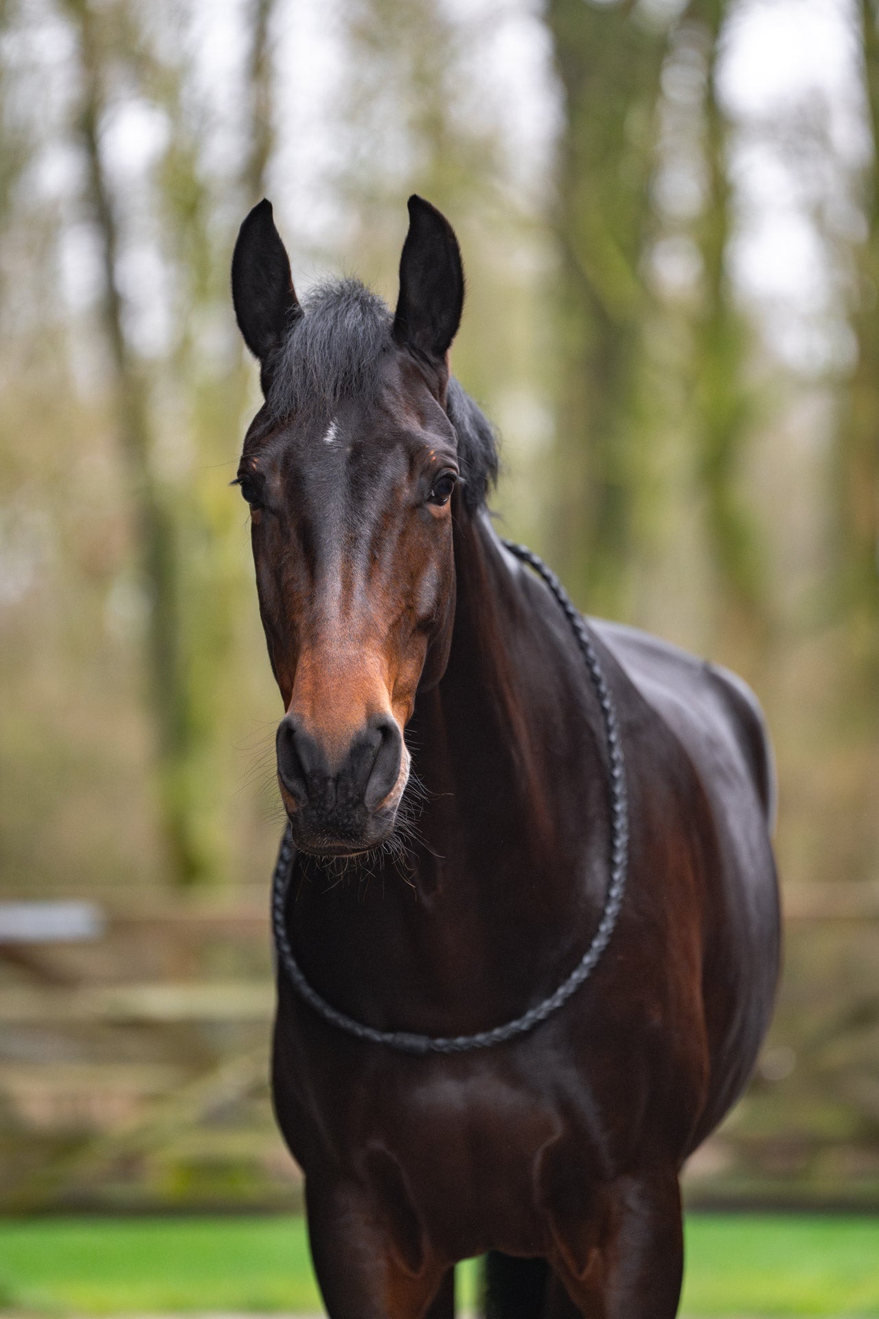 Gevlochten neckrope CheFauve