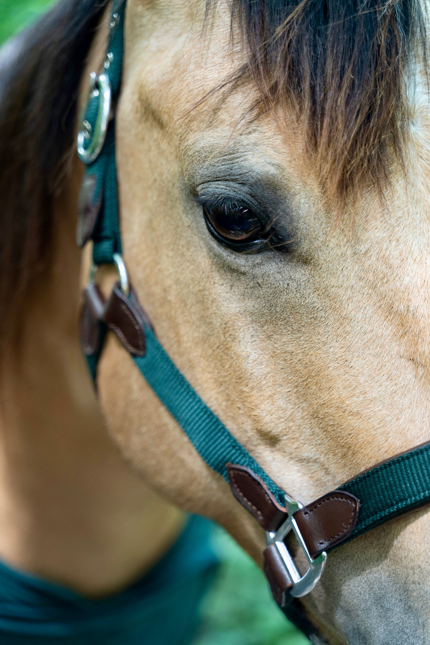 CheFauve Luxe Halster met touw