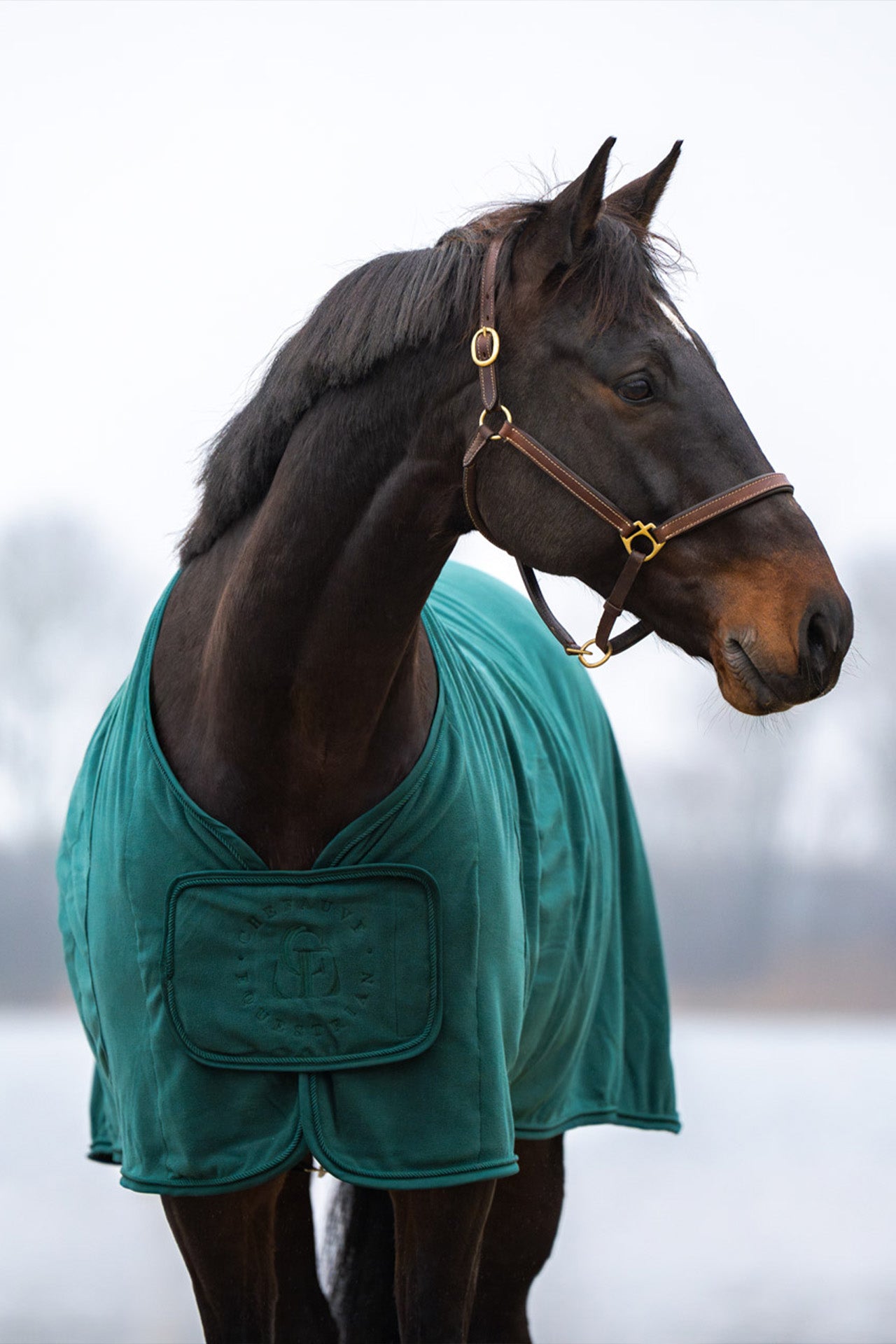 CheFauve Fleecedeken