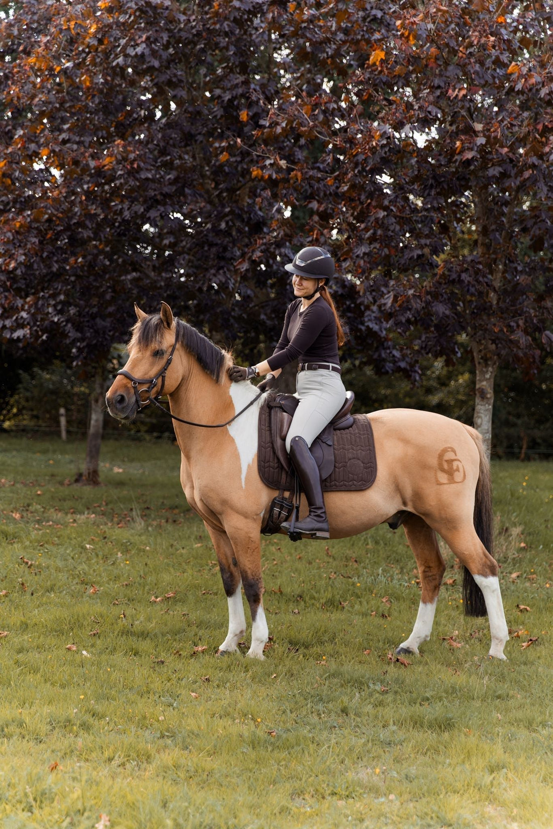 Nieuwe donkerbruine items voor ruiters, hun paarden en outdoor liefhebbers!