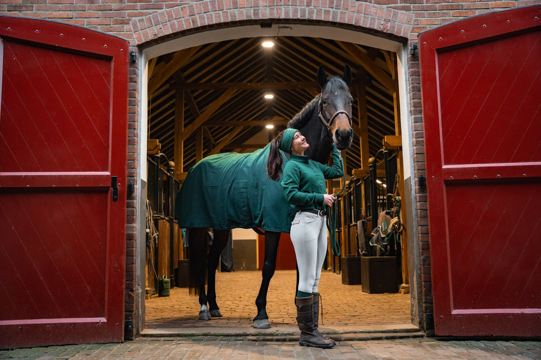 Maak kennis met CheFauve!