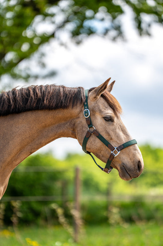 CheFauve Luxe Halster met touw