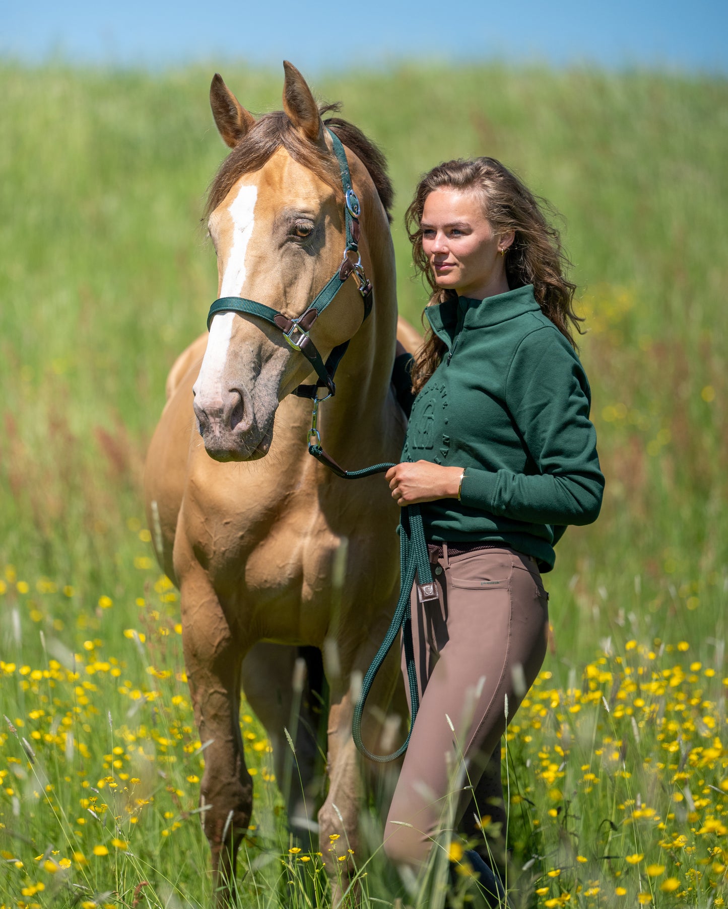 CheFauve Half Zip Trui