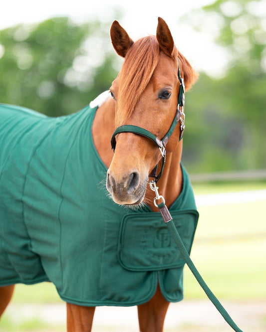chefauve perfecte fleecedeken paard deep green