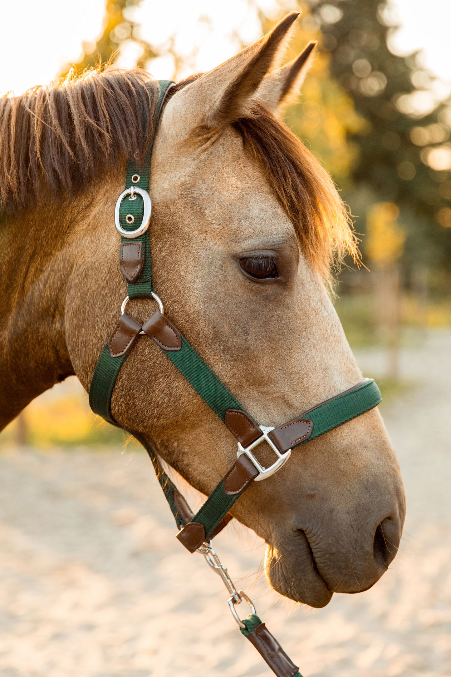 CheFauve Luxe Halster met touw