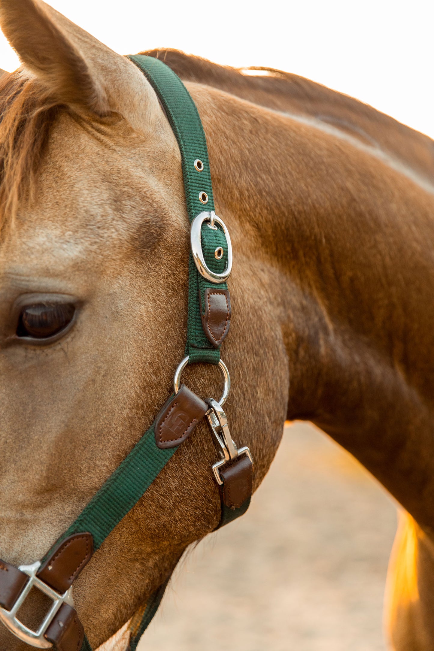 CheFauve Luxe Halster met touw