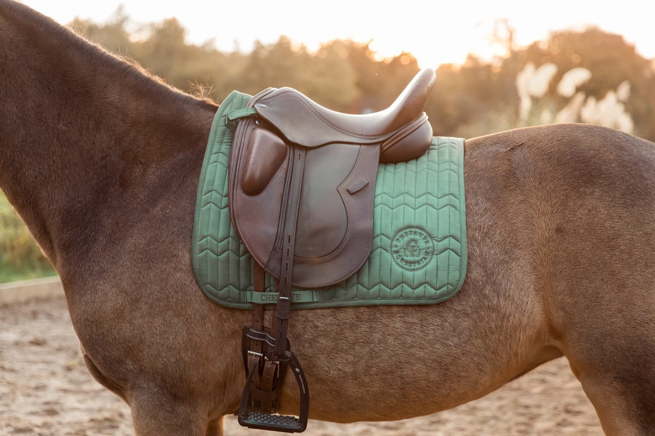 CheFauve Zadeldek Dressuur